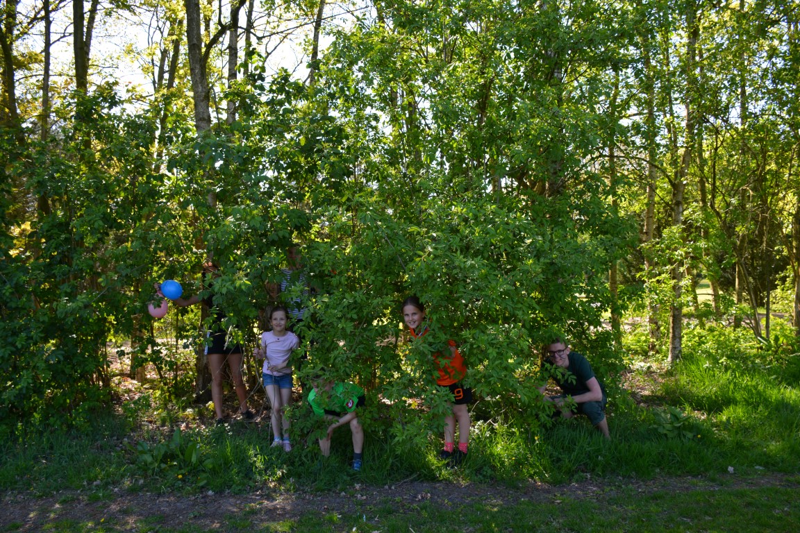 DSC_0421 (Medium).JPG